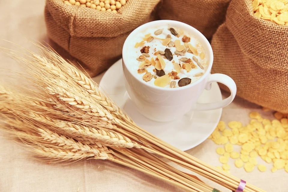 黑麦和燕麦哪个更适合减肥?