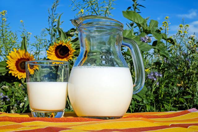 喝什么牛奶会减肥，低脂牛奶营养搭配很有效
