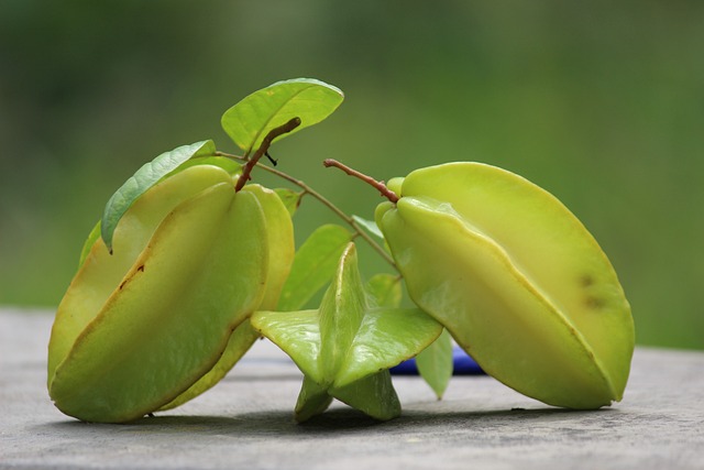 吃杨桃能减肥吗?有什么功效
